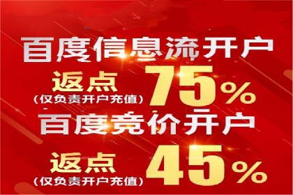 某电商平台的SEM运营实战与效果分析